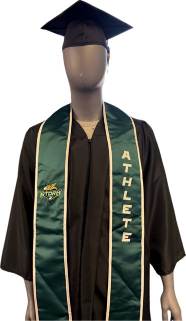 Athlete Stole